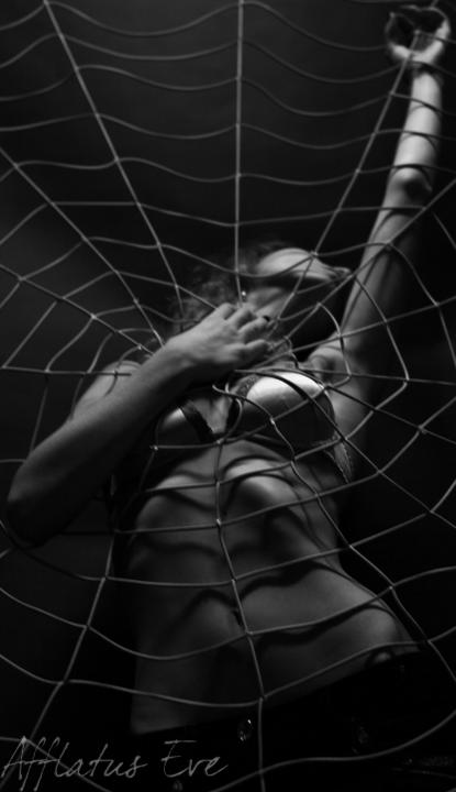 Spider_s_victim_by_Afflatus